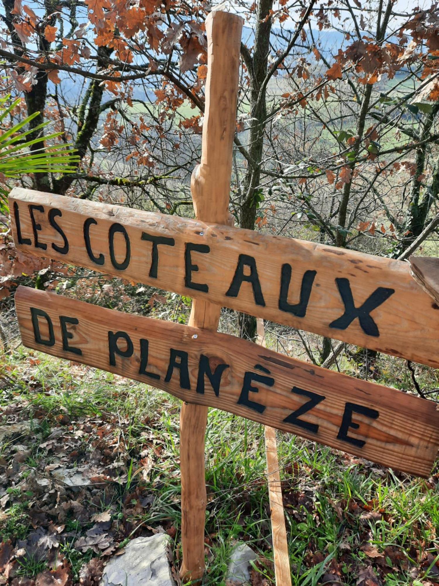 Les Coteaux De Planeze, Chambre Pour 2, 3 Ou Famille Nombreuse 2 Adultes 5 Enfants Et Jeunes Belmont-Bretenoux Экстерьер фото